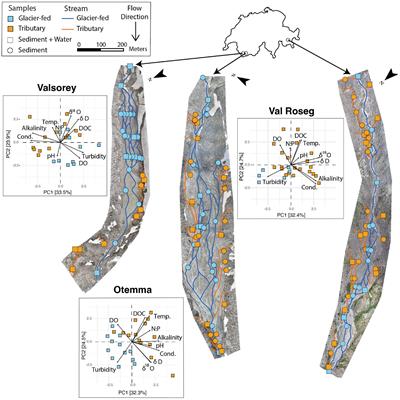 Spatial patterns of benthic biofilm diversity among streams draining proglacial floodplains